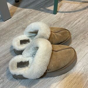 Ugg Disquete slipper